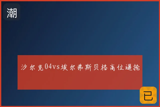 沙尔克04vs埃尔弗斯贝格高位逼抢